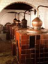 Gin de Mahón - Isole Baleari - Prodotti agroalimentari, denominazione d'origine e gastronomia delle Isole Baleari